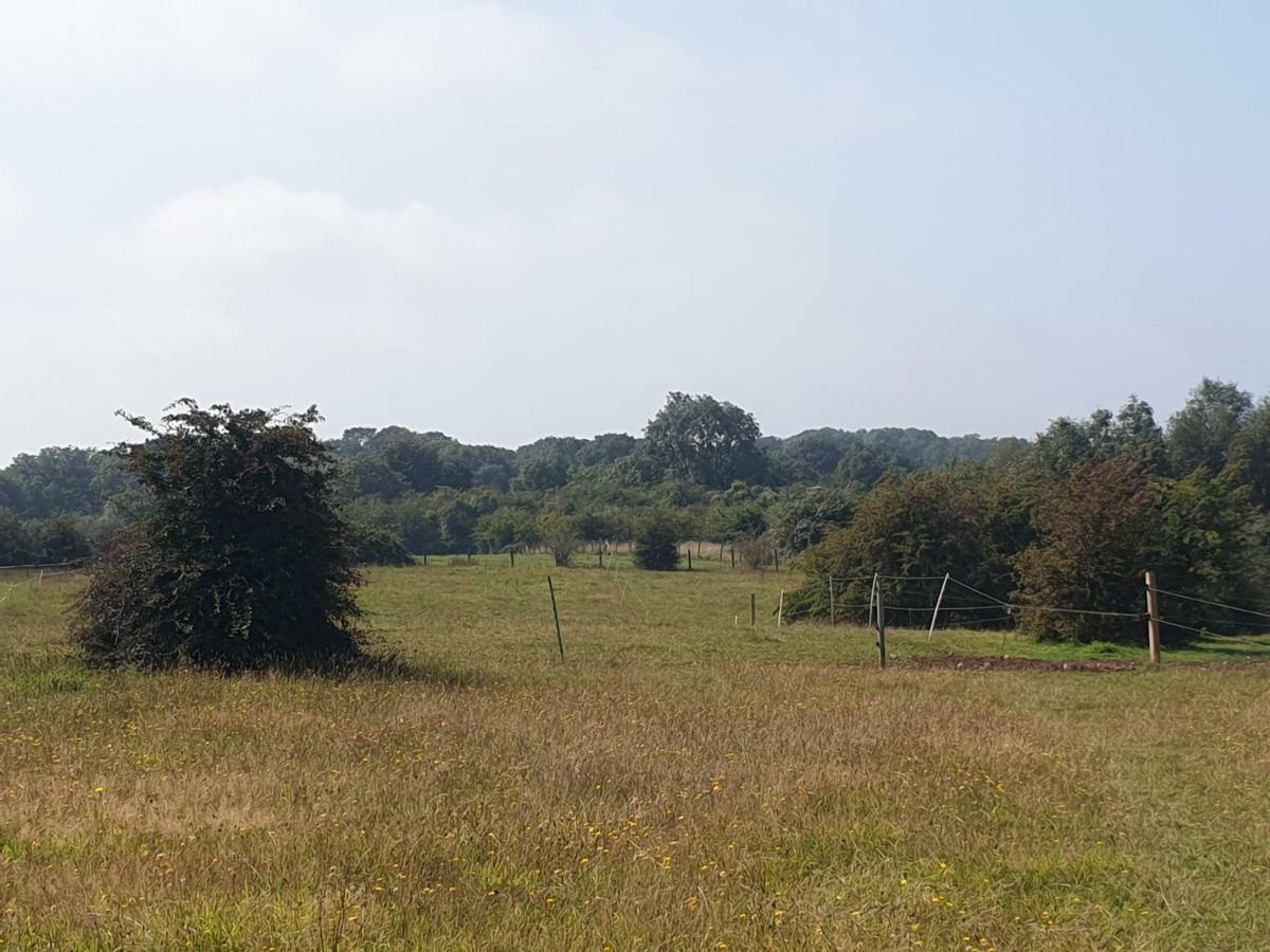 Open Acres Accommodation And Airport Parking Backwell Esterno foto